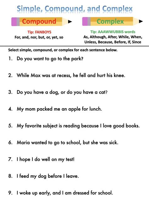 simple and compound sentence worksheet